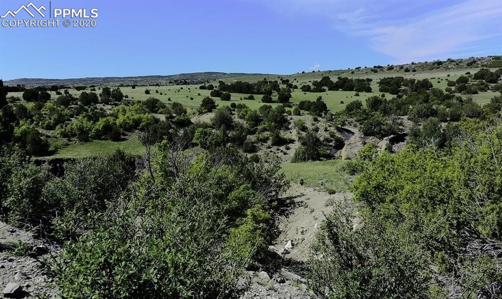 Tbd Lot 7 Pickney Road Rye, CO 81069 - Photo 9 of 16