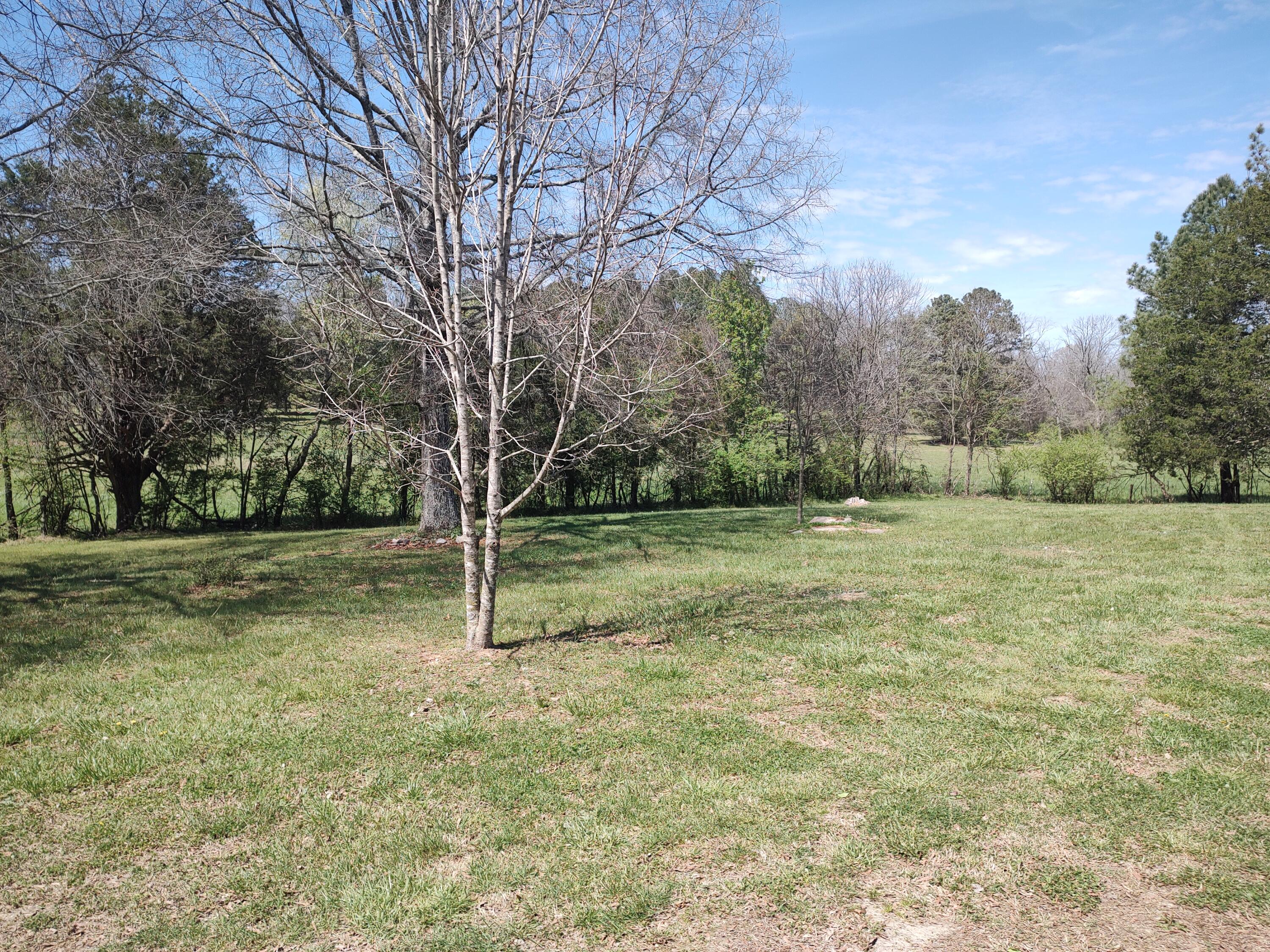 348 Straight Gut Road Rock Spring, GA 30739 - Photo 2 of 14 2