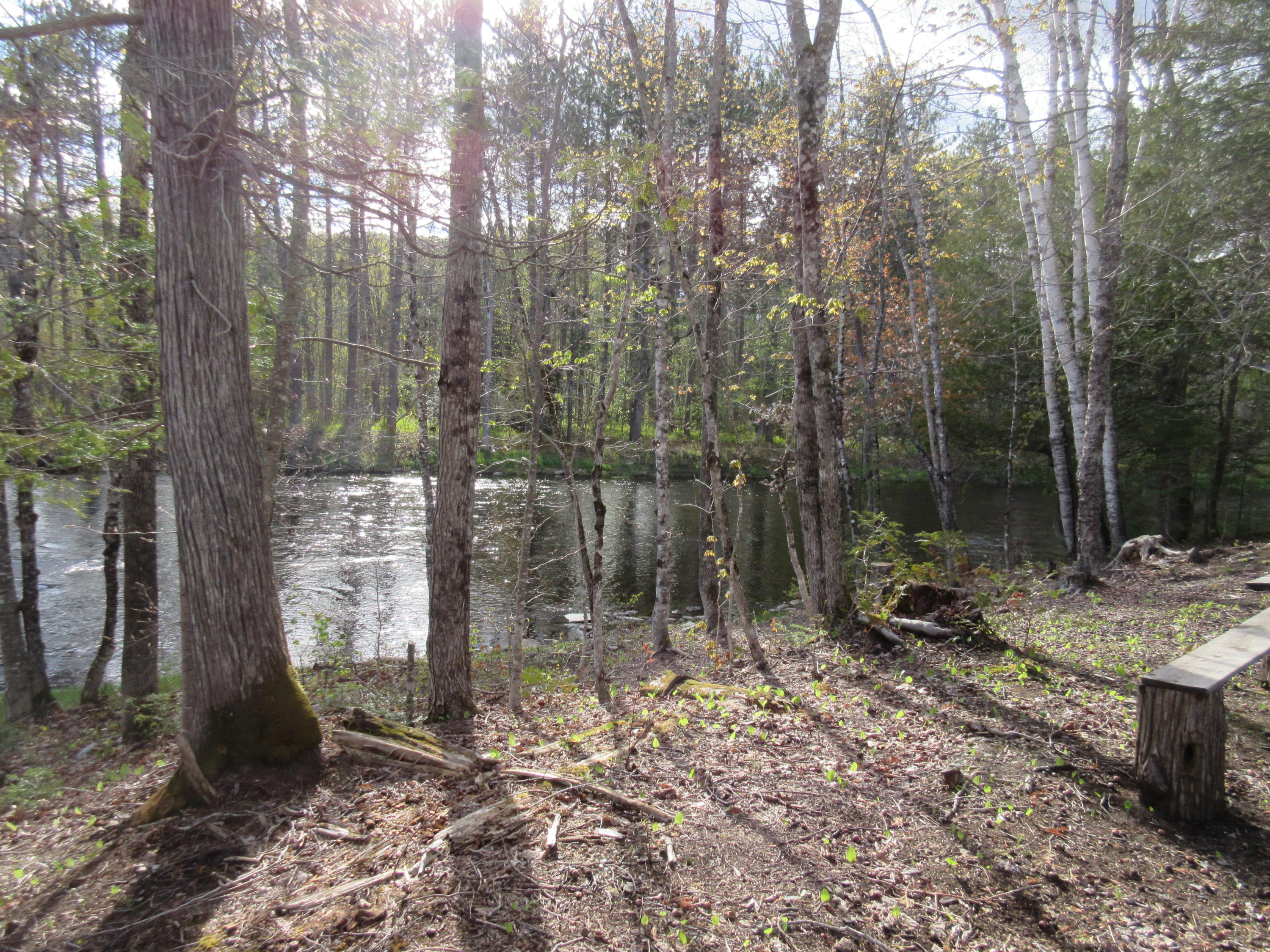31.31 North Blanchard Shirley Road Abbot, ME 04406 - Photo 14 of 15 IMG_2169
