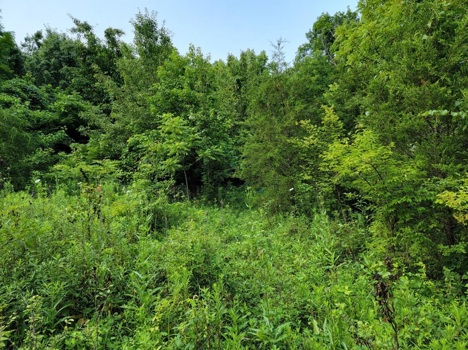 6850 Mullen Road Cincinnati, OH 45247 - Photo 2 of 33