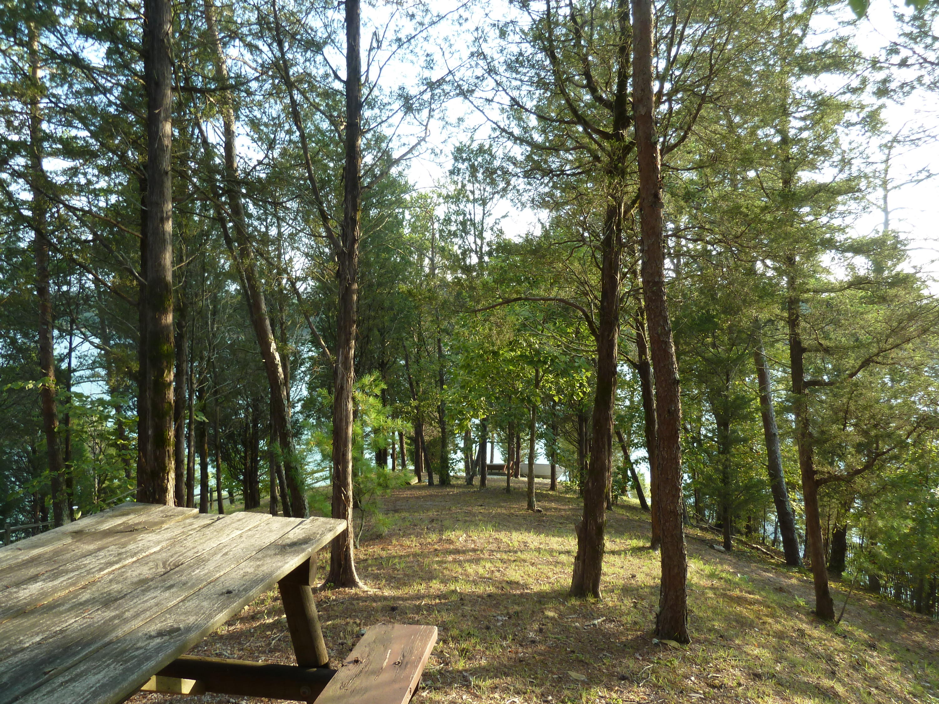 2050 Chapel Road Sevierville, TN 37876 - Photo 28 of 31 P1230276
