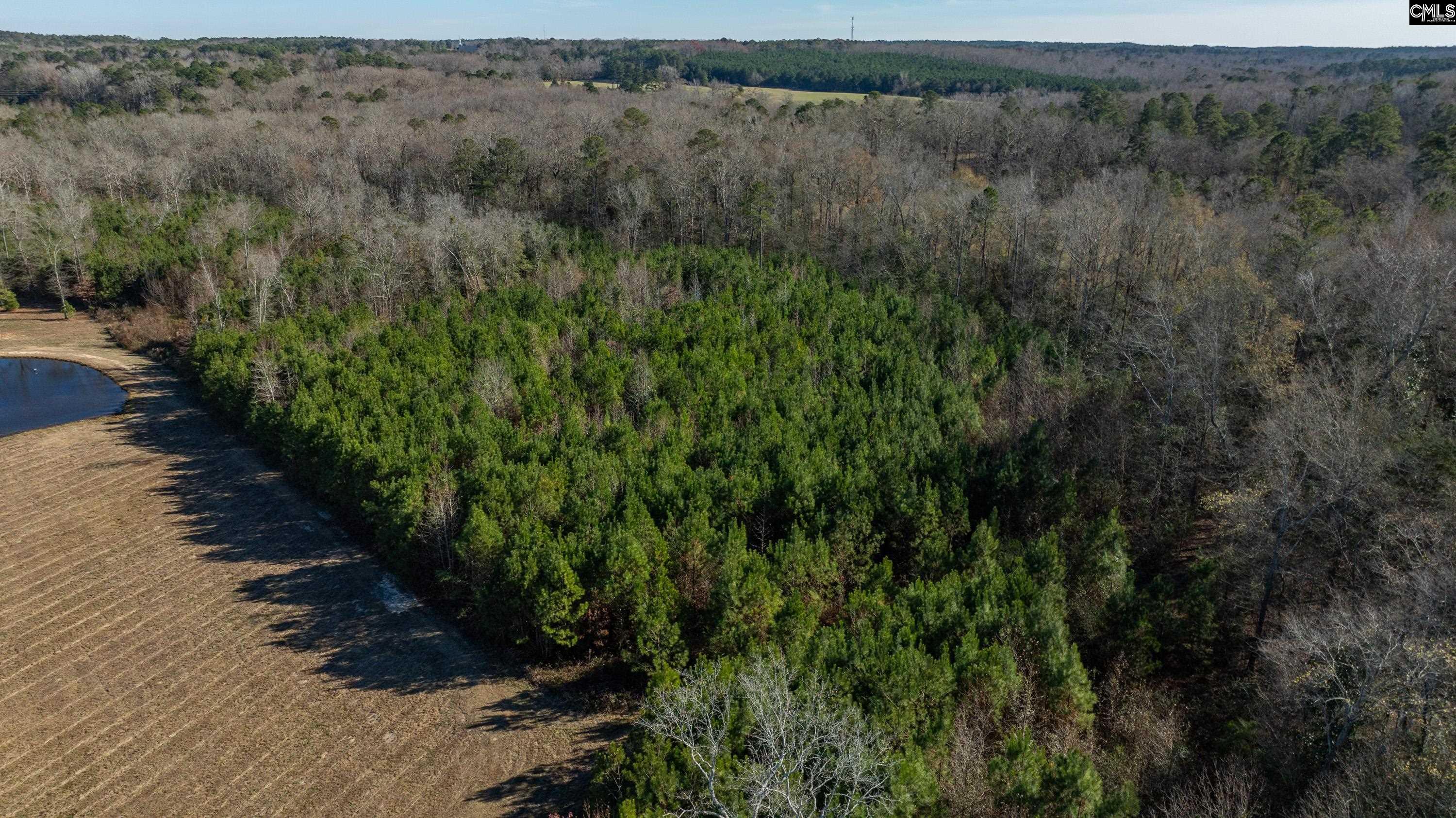 0 Cedar Grove Road Leesville, SC 29070 - Photo 10 of 14