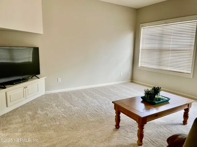 a view of a yard with plants