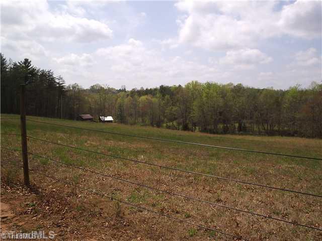 1390 George Road Westfield, NC 27053 - Photo 14 of 16 Land. Fenced Pasture