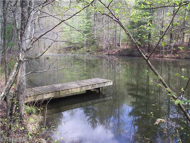 1390 George Road Westfield, NC 27053 - Photo 15 of 16 Other. Fishing Pond