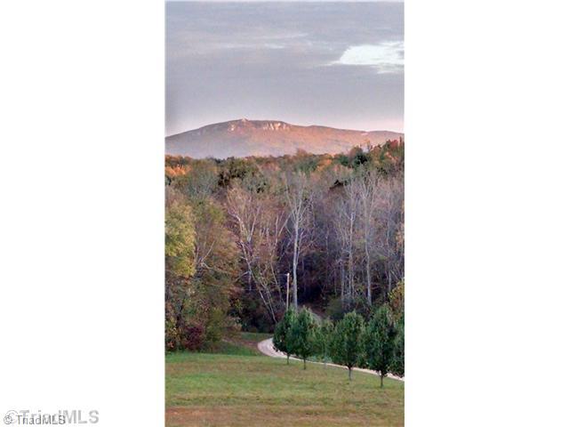 1390 George Road Westfield, NC 27053 - Photo 16 of 16 View. Awesome View!