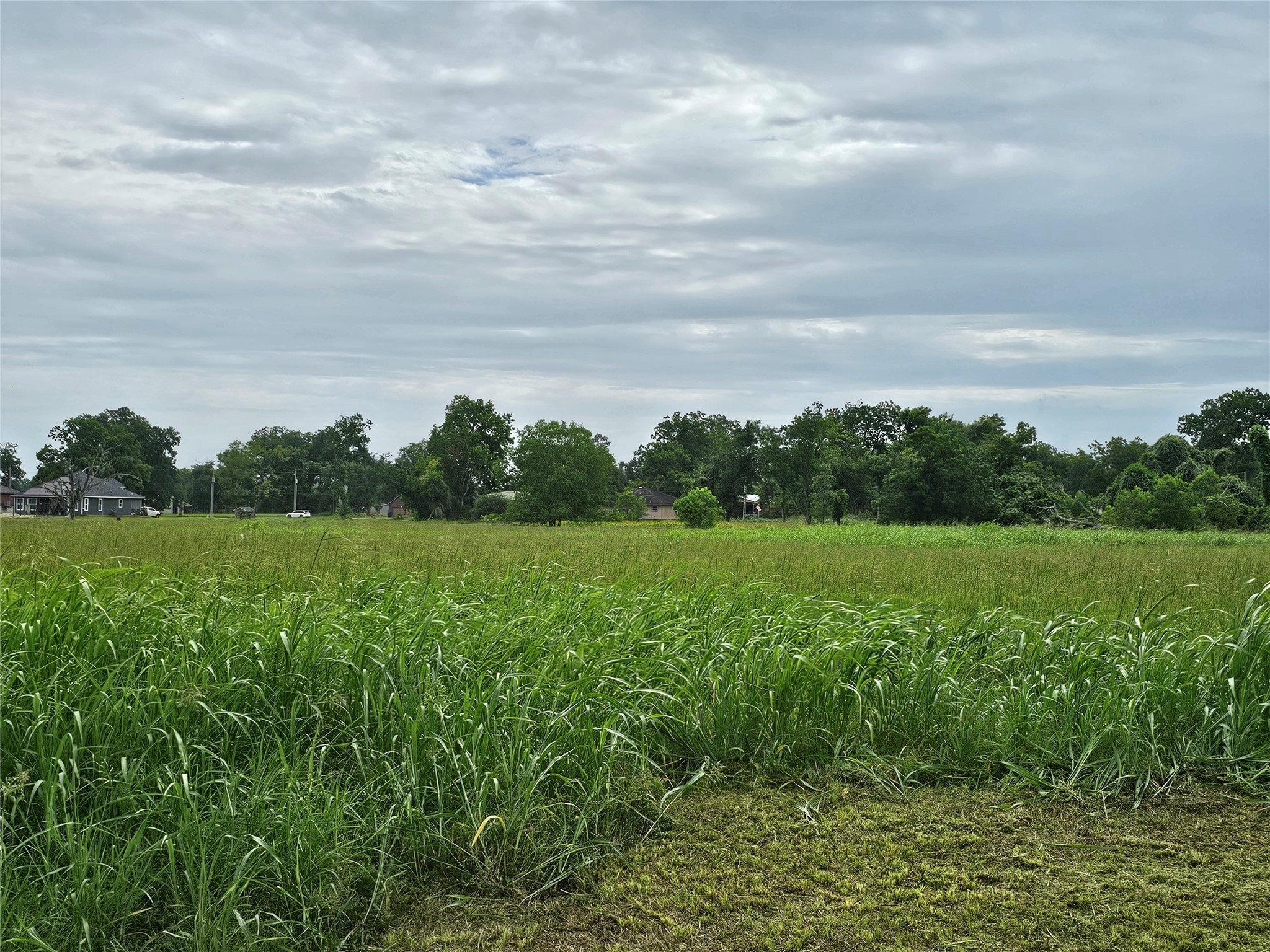 Lot 21 Wrangler Bend Angleton, TX 77515 - Photo 1 of 15 a view of a green field with lots of green space