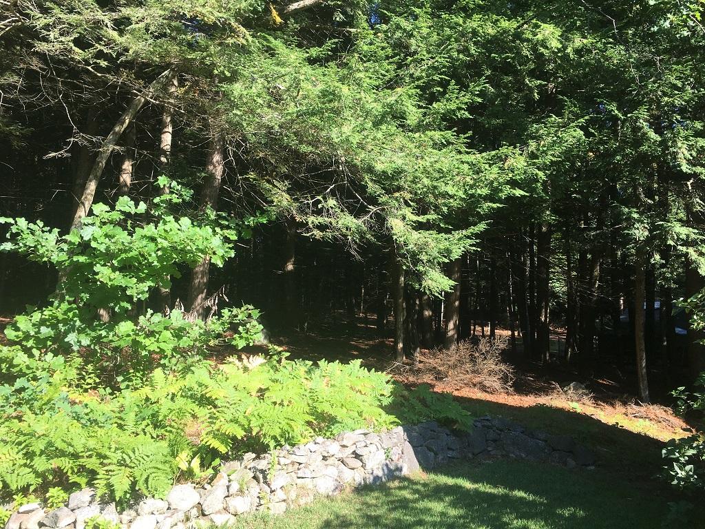 78 Wire Road Merrimack, NH 03054 - Photo 7 of 32