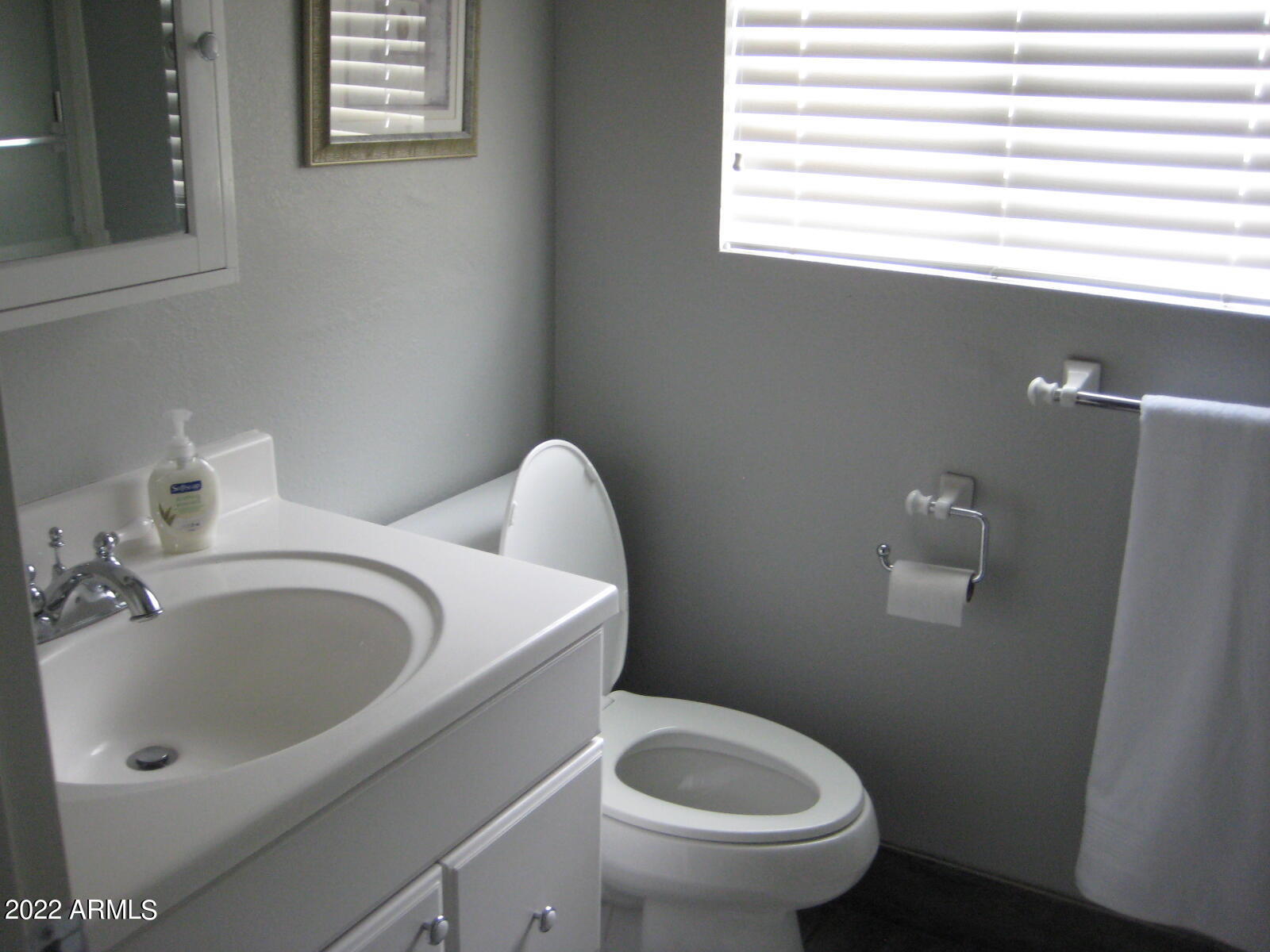 617 South Power Road, Unit 348 Mesa, AZ 85206 - Photo 9 of 11 Bath