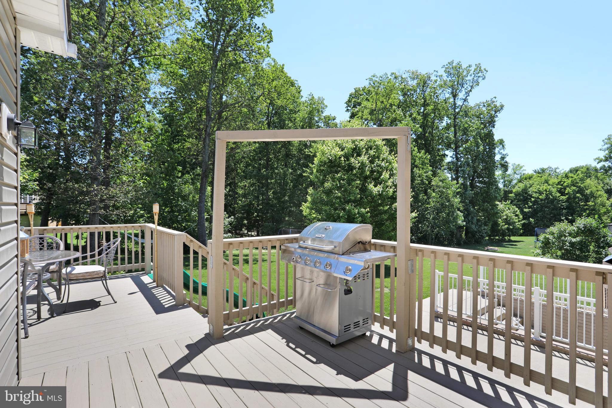 913 Riparian Drive Falling Waters, WV 25419 - Photo 52 of 65 Gallery Image 52