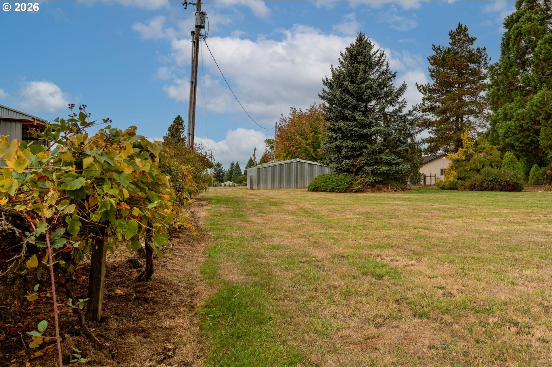 28900 Southeast Currin Road Estacada, OR 97023 - Photo 17 of 48 Gallery Image 17