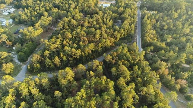3945 Indian Mound Road Crestview, FL 32539 - Photo 54 of 57 a view of a forest