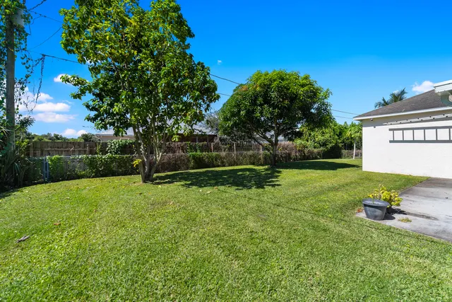 a view of a park with a tree