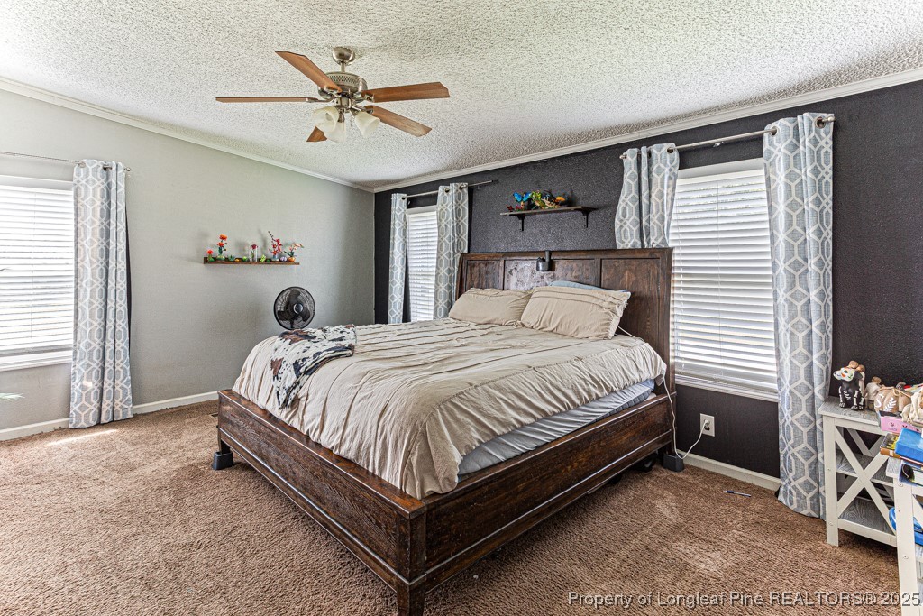 152 Rocks Edge Lane Smithfield, NC 27577 - Photo 23 of 32 Spacious Master Bedroom