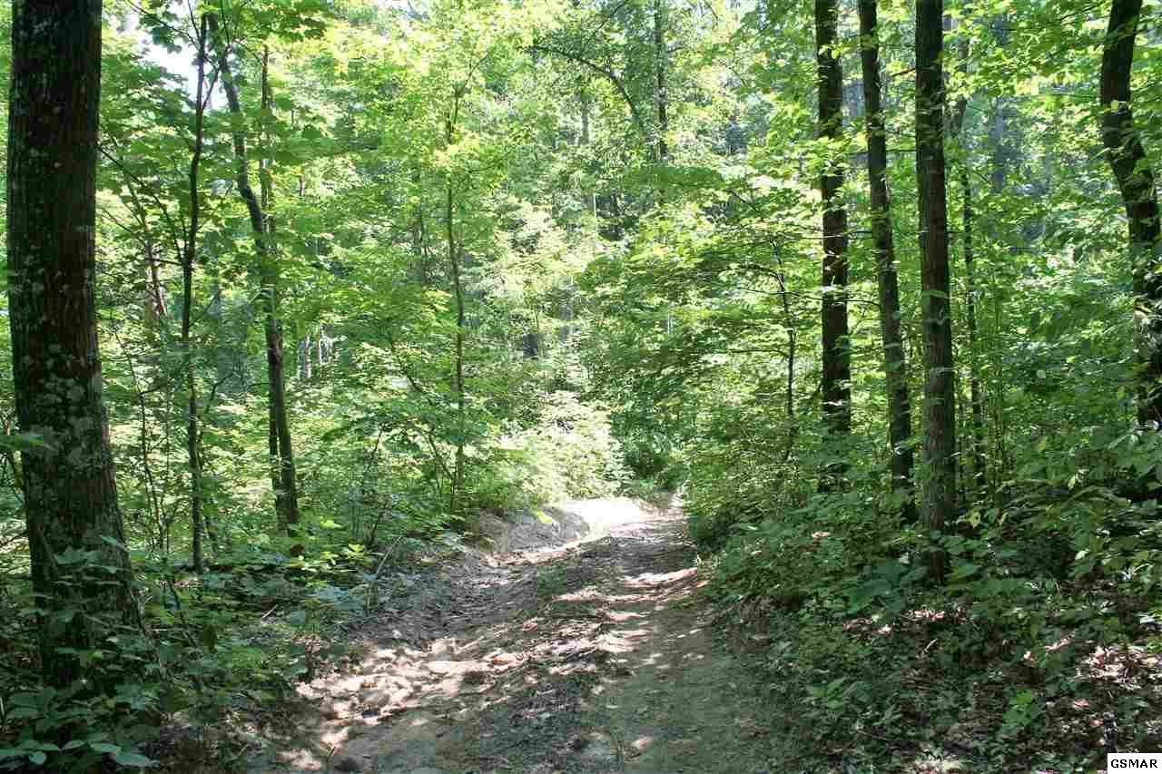0 Collier Loop Dandridge, TN 37725 - Photo 31 of 35 Gallery Image 31