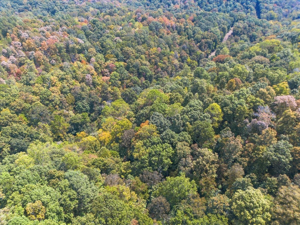 0 Hickman Springs Road Centerville, TN 37033 - Photo 14 of 16 Gallery Image 14