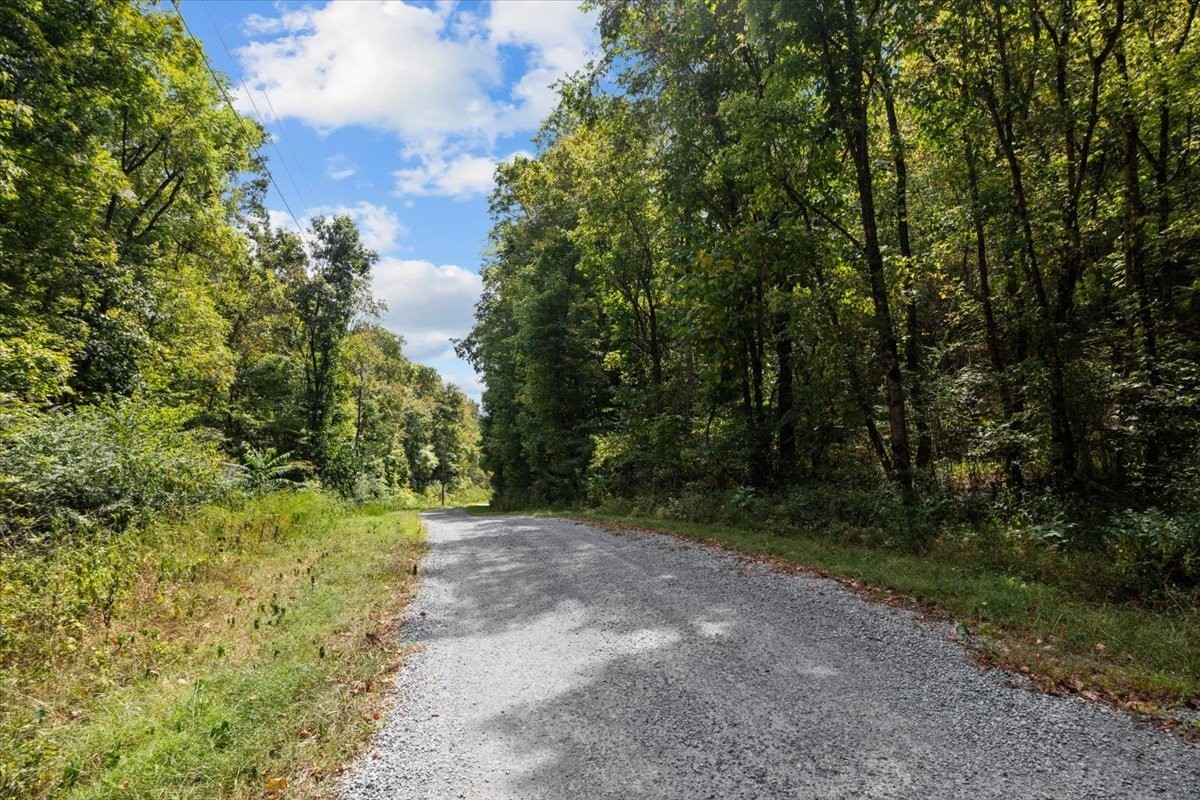 0 Hickman Springs Road Centerville, TN 37033 - Photo 10 of 16 Gallery Image 10