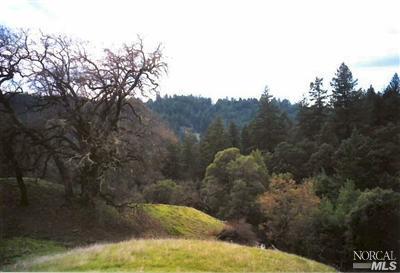 View from Cabin