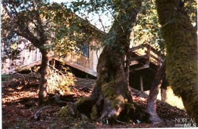Cabin