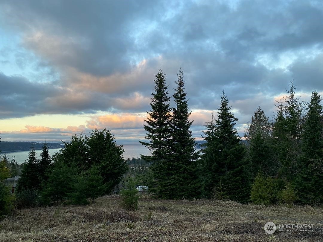 313 View Ridge Drive Sequim, WA 98382 - Photo 3 of 23 Gallery Image 3