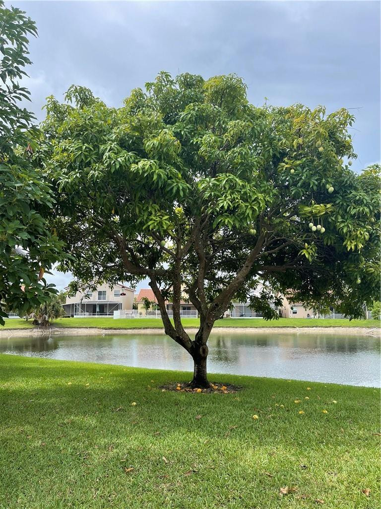 18022 Clear Brook Circle Boca Raton, FL 33498 - Photo 34 of 34 Photo 34