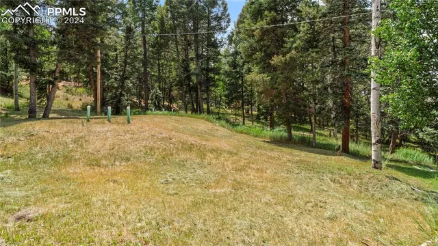 a backyard of a house with large trees