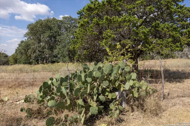 $679,000 | 542 Fm 473, Comfort, TX 78013