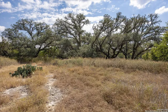 $679,000 | 542 Fm 473, Comfort, TX 78013