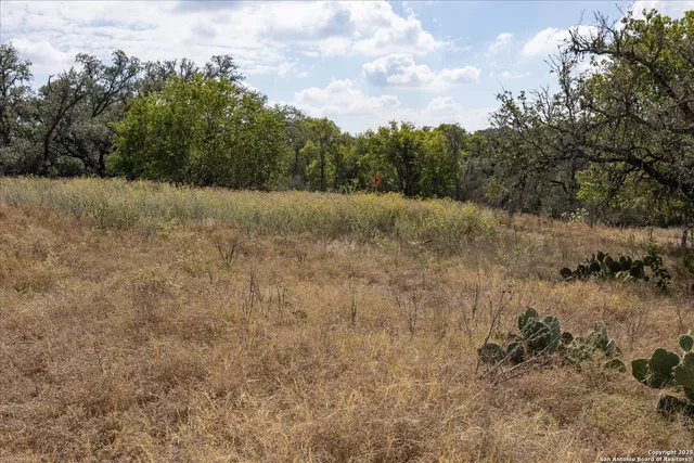 $679,000 | 542 Fm 473, Comfort, TX 78013