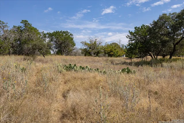 $679,000 | 542 Fm 473, Comfort, TX 78013