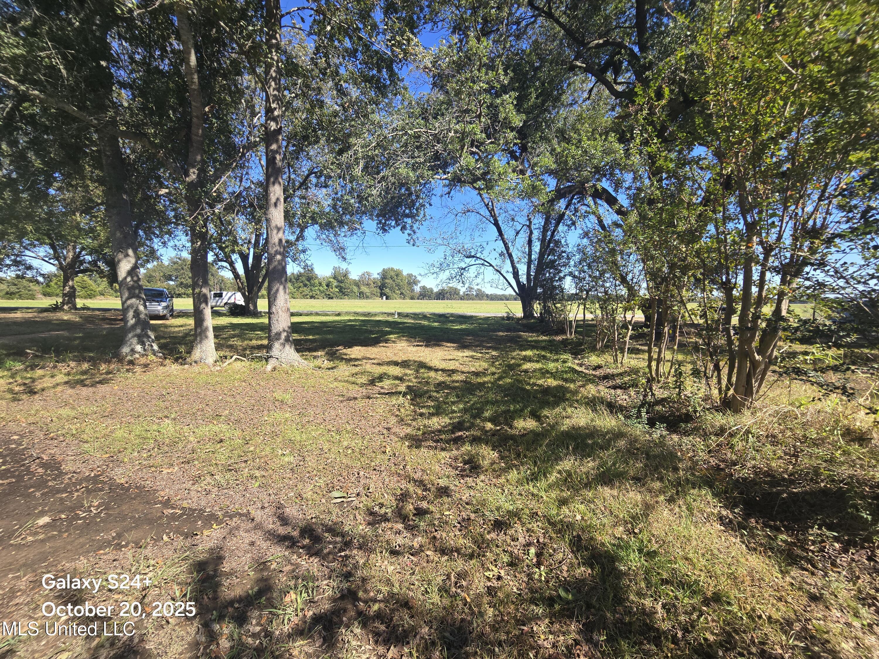 238 Front Street Silver City, MS 39166 - Photo 25 of 31 20251020_125809