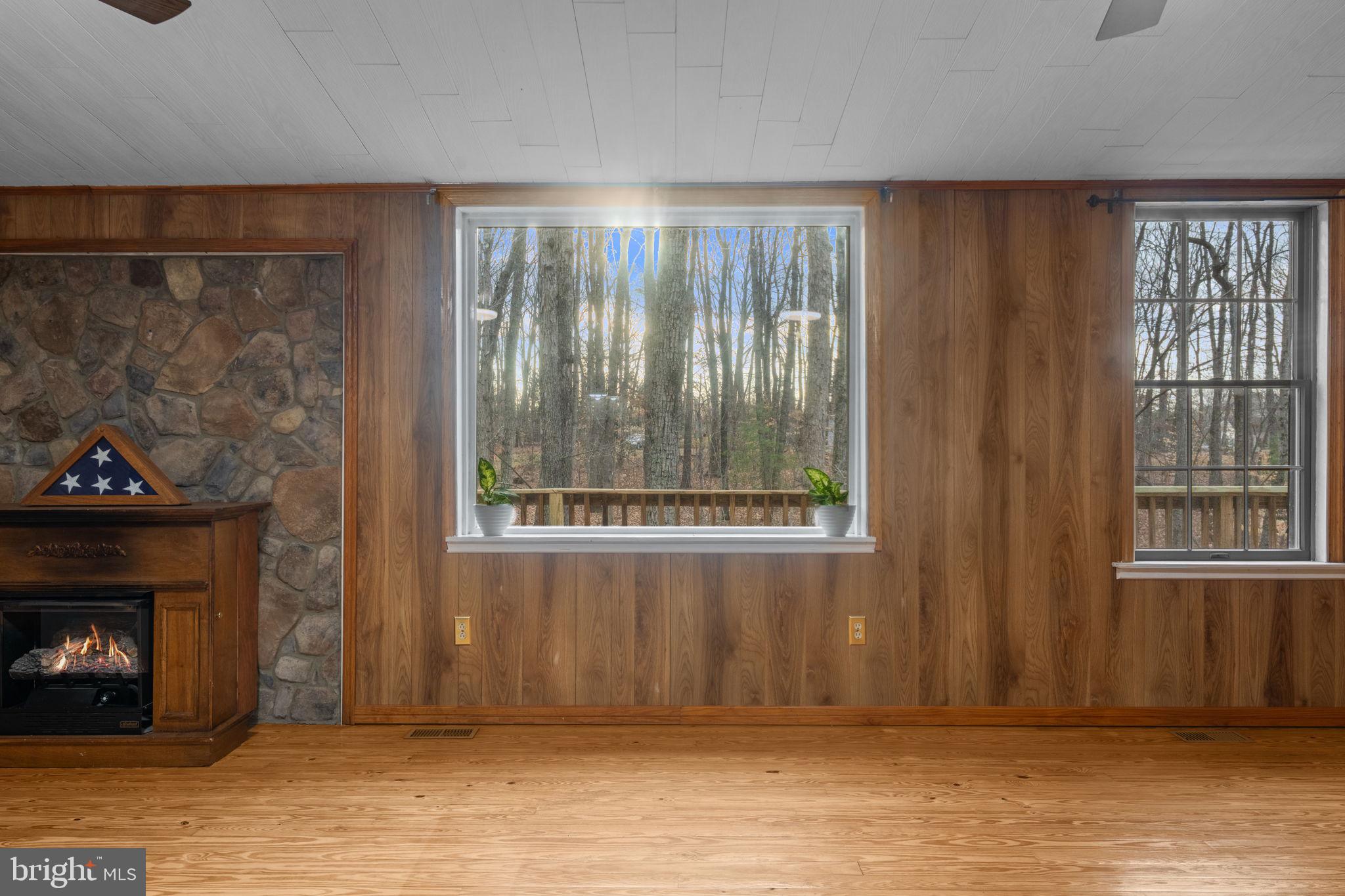 29082 Raccoon Ford Road Burr Hill, VA 22433 - Photo 27 of 78 Beautiful view and its all yours!