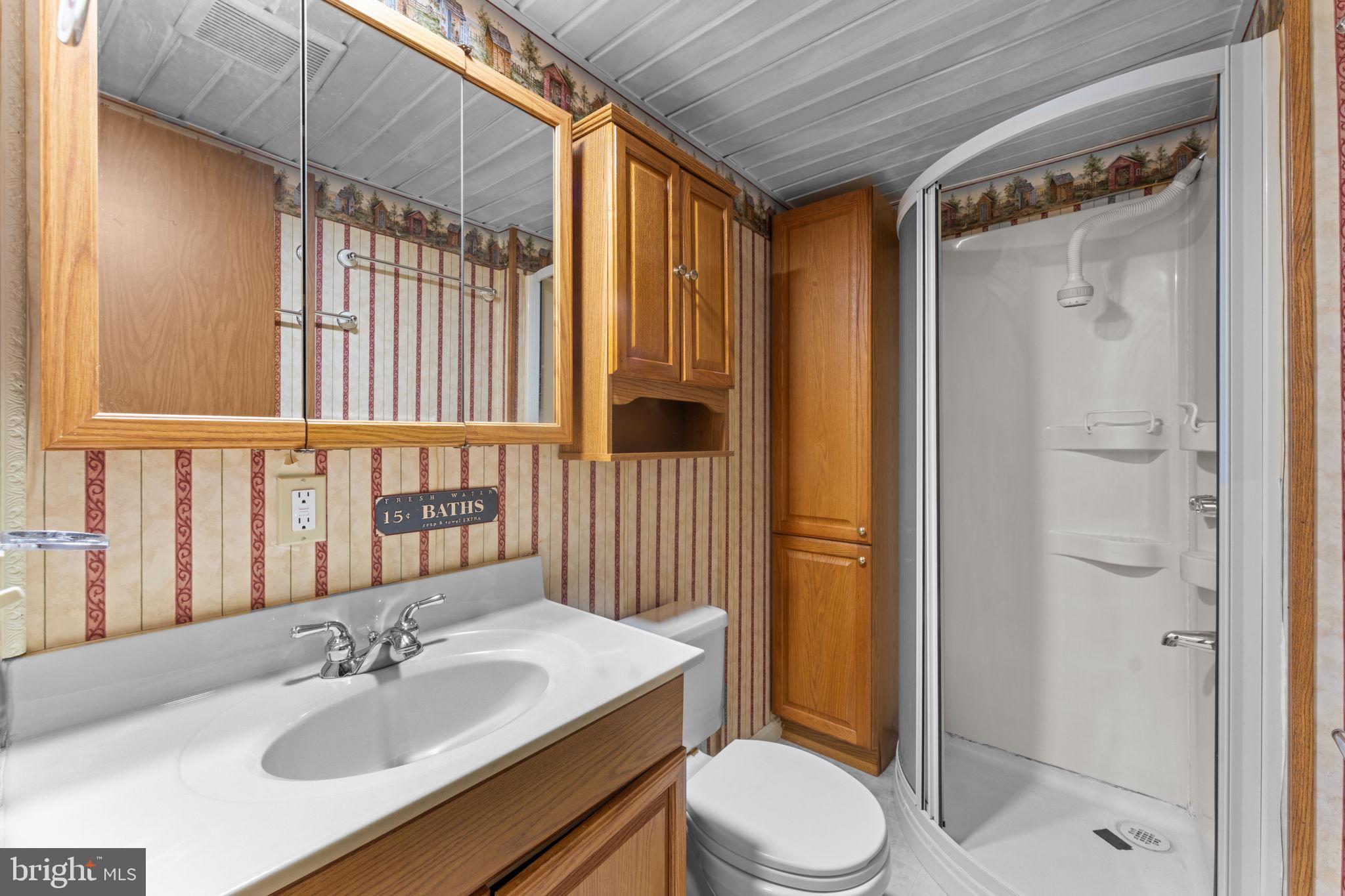 29082 Raccoon Ford Road Burr Hill, VA 22433 - Photo 33 of 78 Bathroom 1