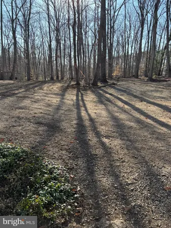 a view of a yard with large trees