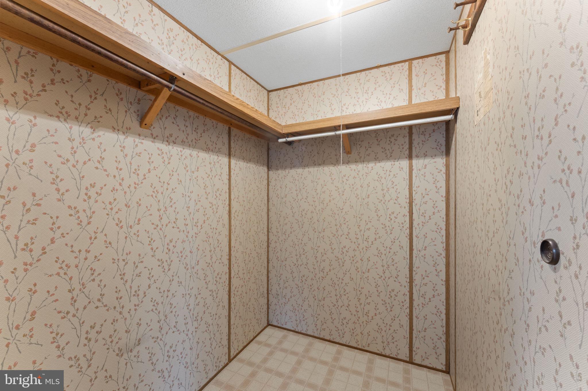 29082 Raccoon Ford Road Burr Hill, VA 22433 - Photo 51 of 78 Charming walk in closet is so retro fun.