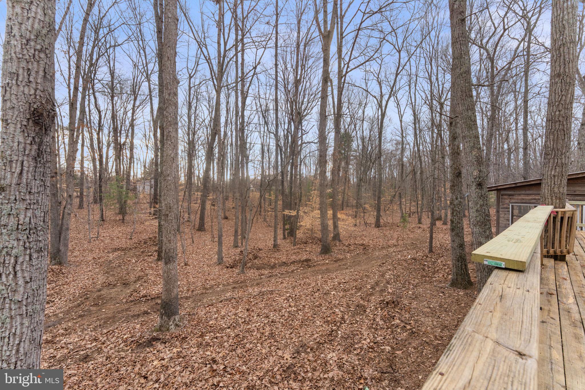 29082 Raccoon Ford Road Burr Hill, VA 22433 - Photo 63 of 78 Peace & Privacy