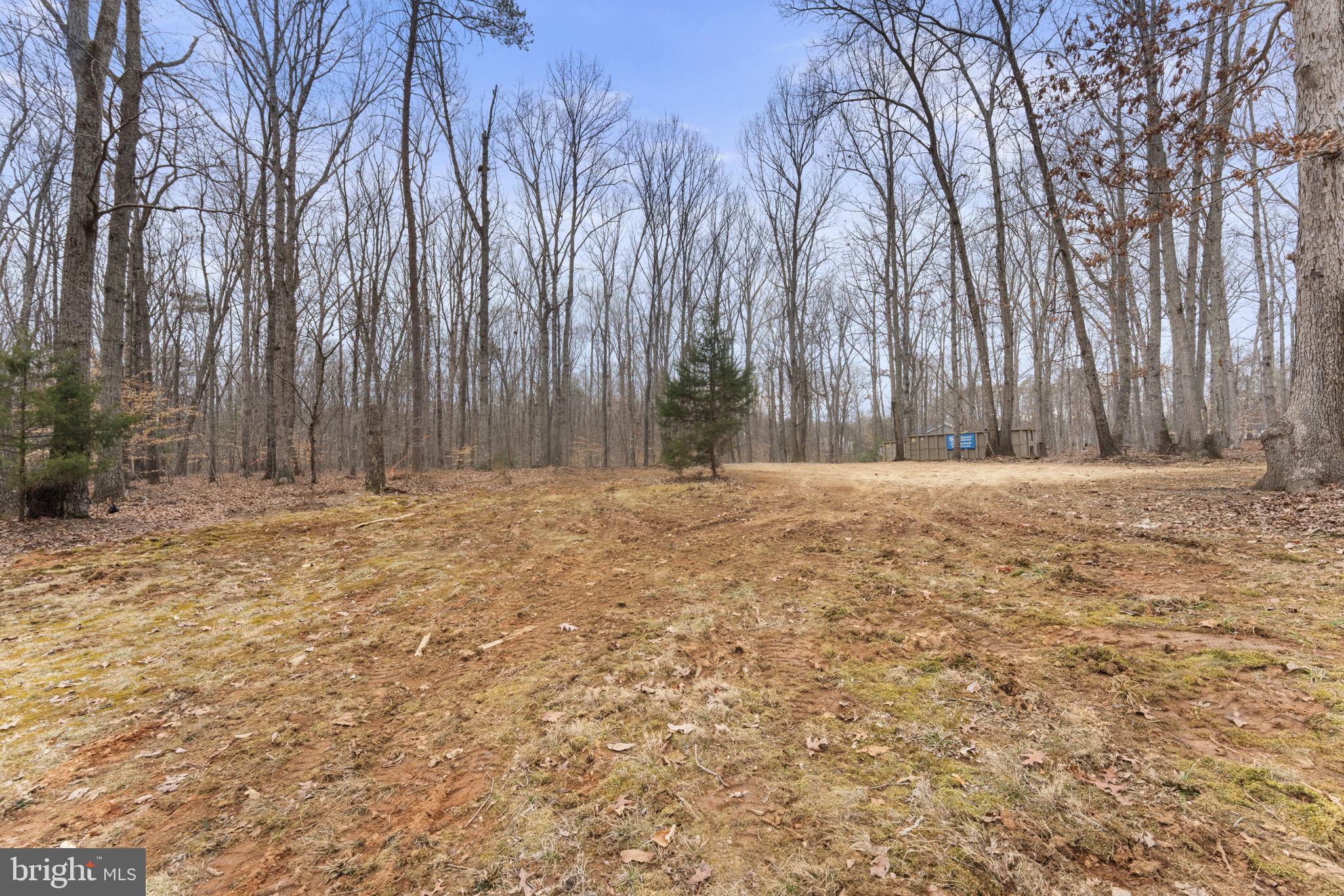 29082 Raccoon Ford Road Burr Hill, VA 22433 - Photo 66 of 78