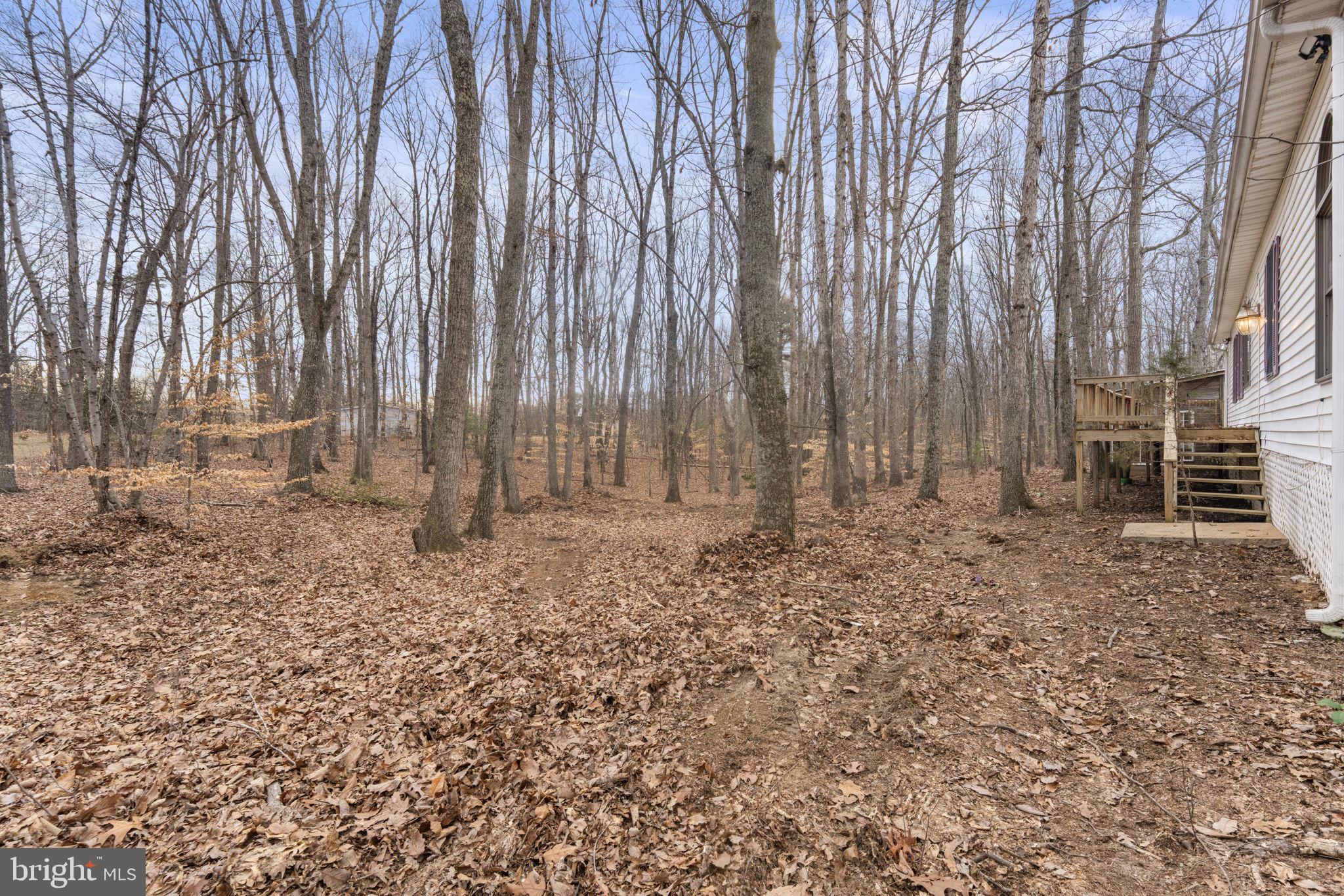 29082 Raccoon Ford Road Burr Hill, VA 22433 - Photo 68 of 76 Gallery Image 68