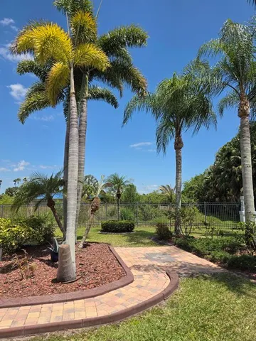 a view of a yard with a tree