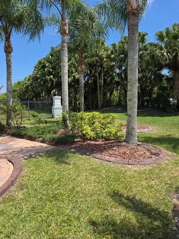 a view of a yard with plants