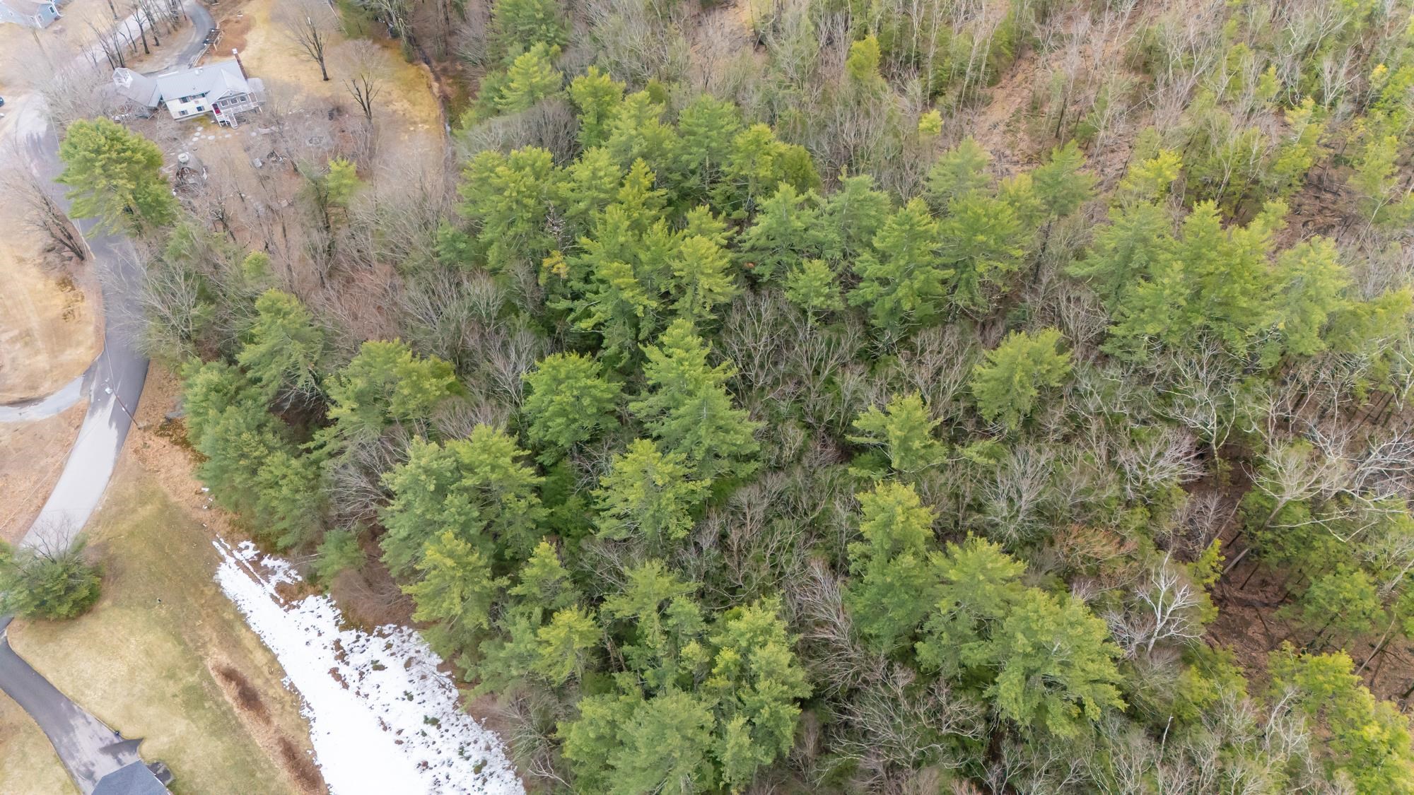 Lot 053 Holt Road Wilton, NH 03086 - Photo 2 of 6