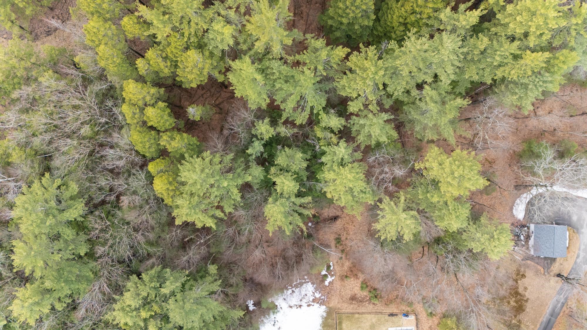 Lot 053 Holt Road Wilton, NH 03086 - Photo 3 of 6