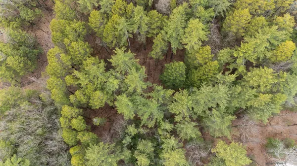 $225,000 | Lot 053 Holt Road, Wilton, NH 03086