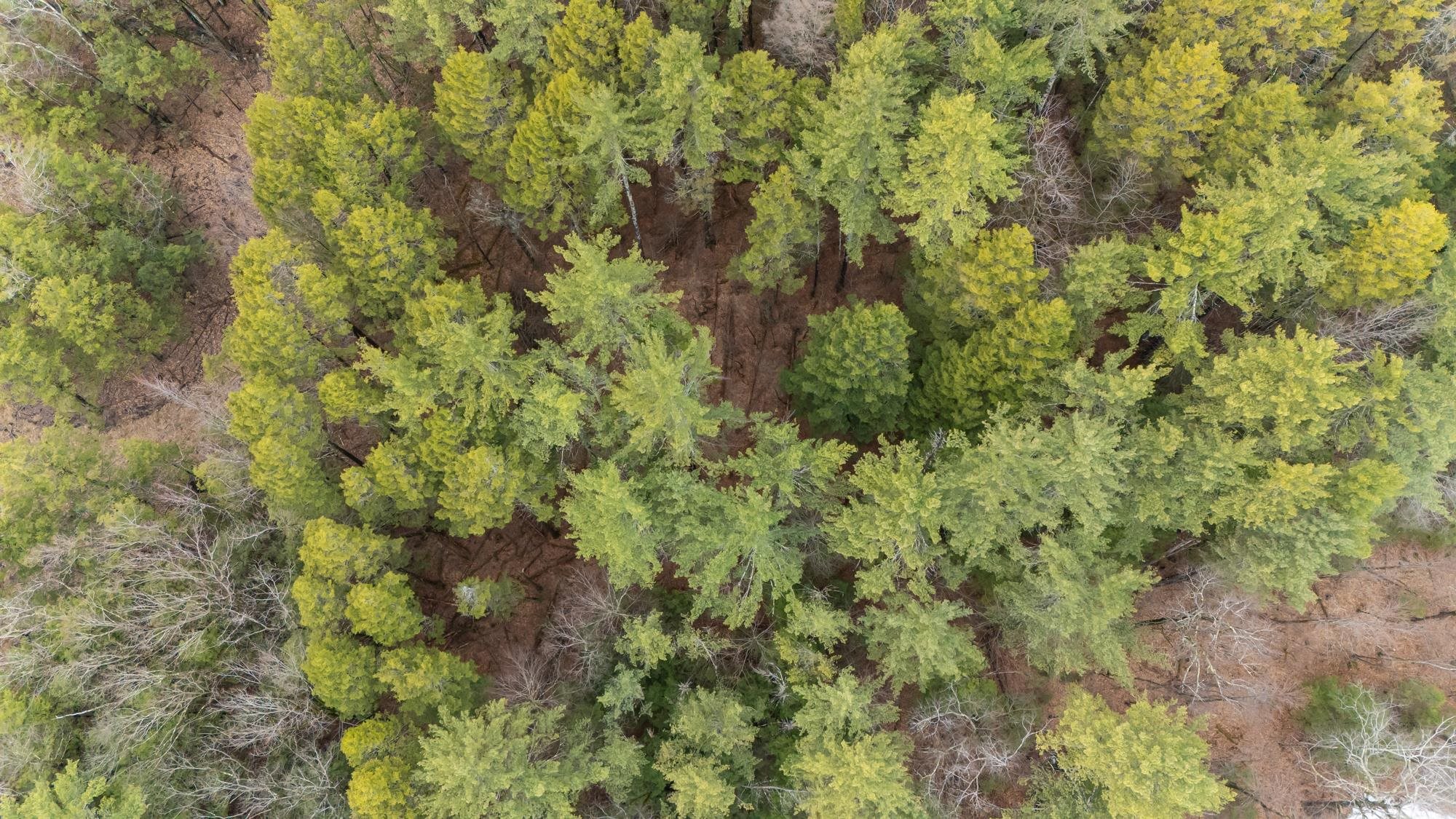 Lot 053 Holt Road Wilton, NH 03086 - Photo 4 of 6