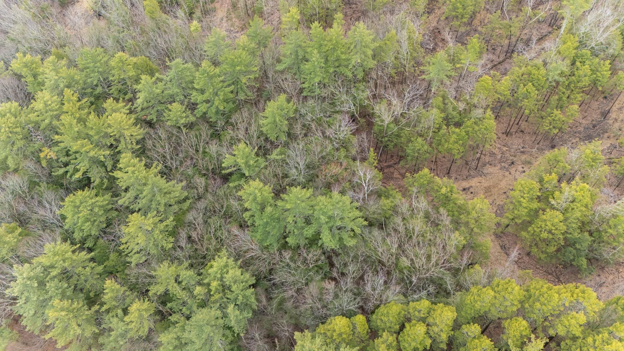 Lot 053 Holt Road Wilton, NH 03086 - Photo 5 of 6