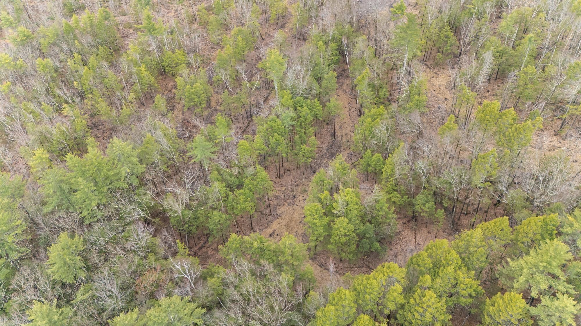 Lot 053 Holt Road Wilton, NH 03086 - Photo 6 of 6