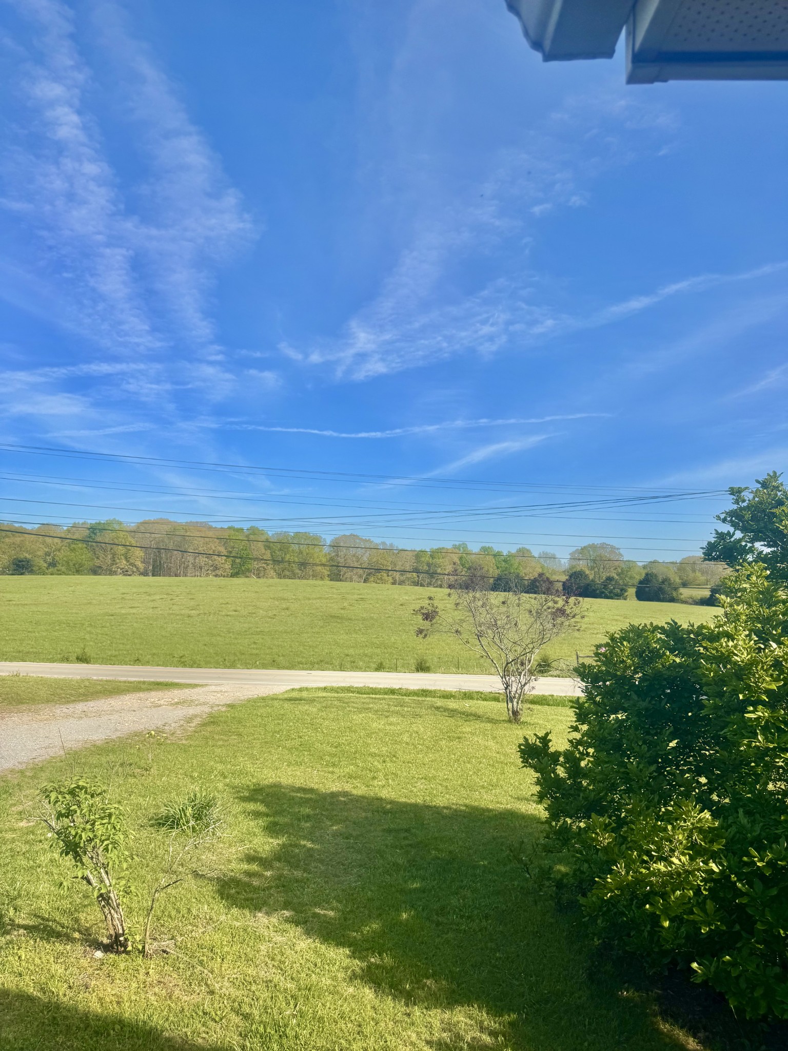 1233 Claylick Road White Bluff, TN 37187 - Photo 10 of 10