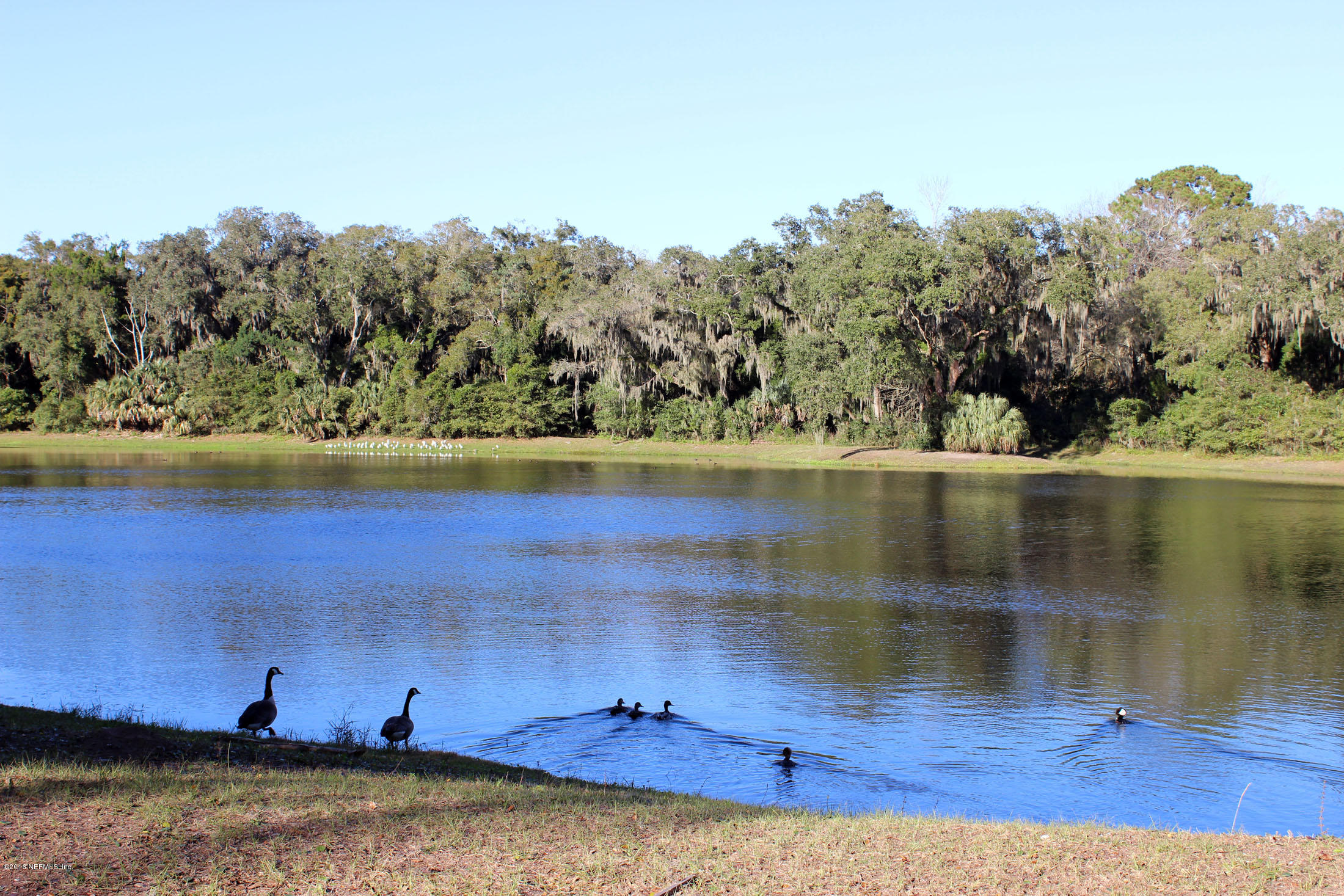 96057 Brady Point Road Fernandina Beach, FL 32034 - Photo 11 of 22 jviewback1-sm