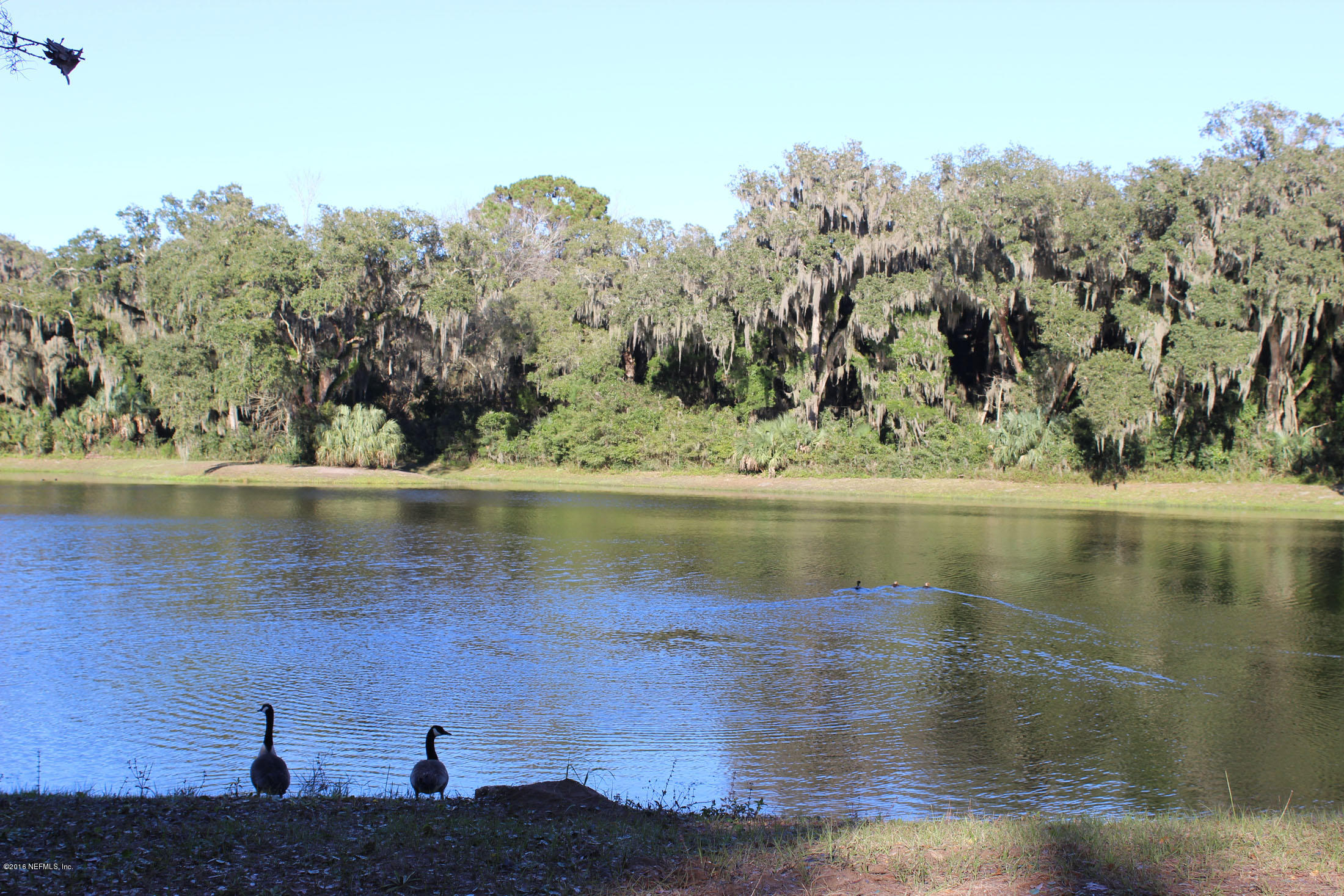 96057 Brady Point Road Fernandina Beach, FL 32034 - Photo 14 of 22 viewback4-sm