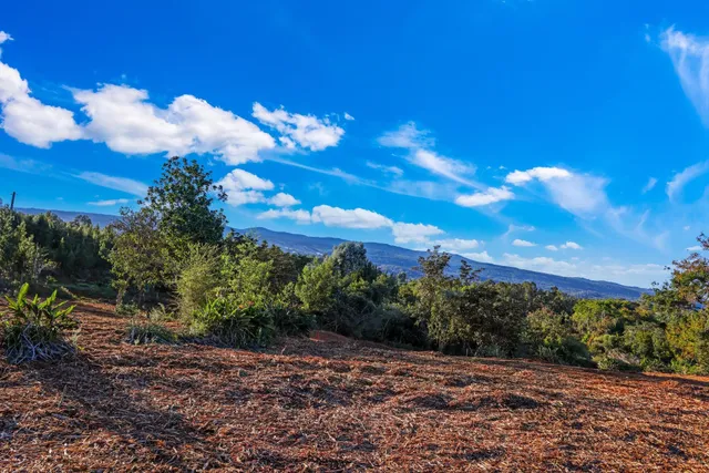 a view of a houses with a yard